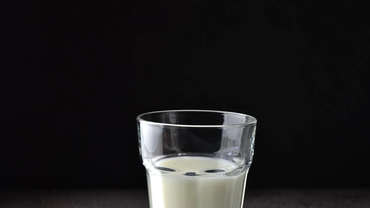 Spiced buttermilk 0,3l