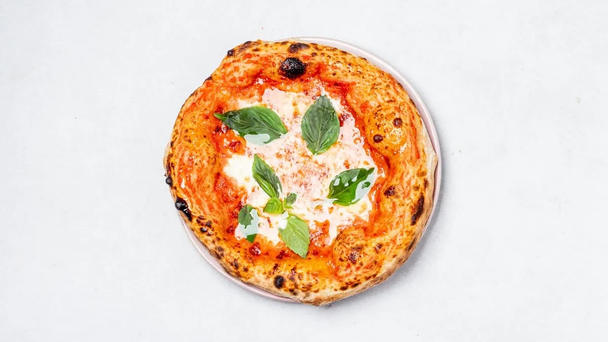 Tina Turner- Simply the best a.k.a Margherita 🌿 -20%