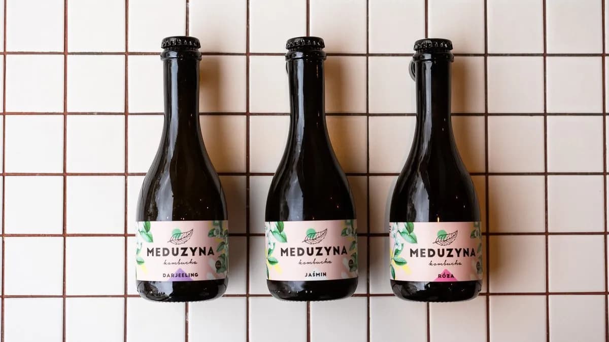 Meduzyna kombucha 330 ml