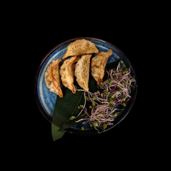 Pierożki Age Gyoza z warzywami 5szt.