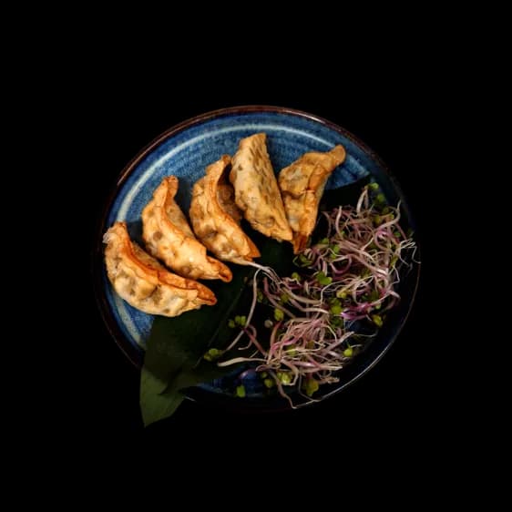 Pierożki Age Gyoza z kurczakiem i grzybami 5szt.