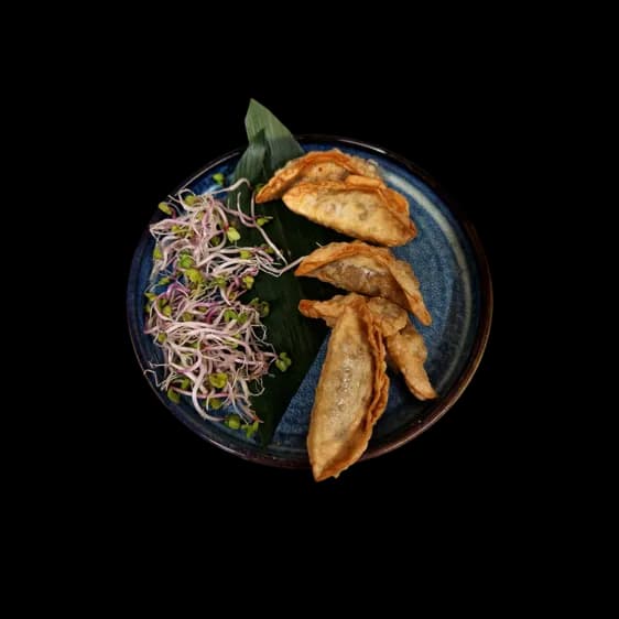 Pierożki Age Gyoza z mięsem 5szt.