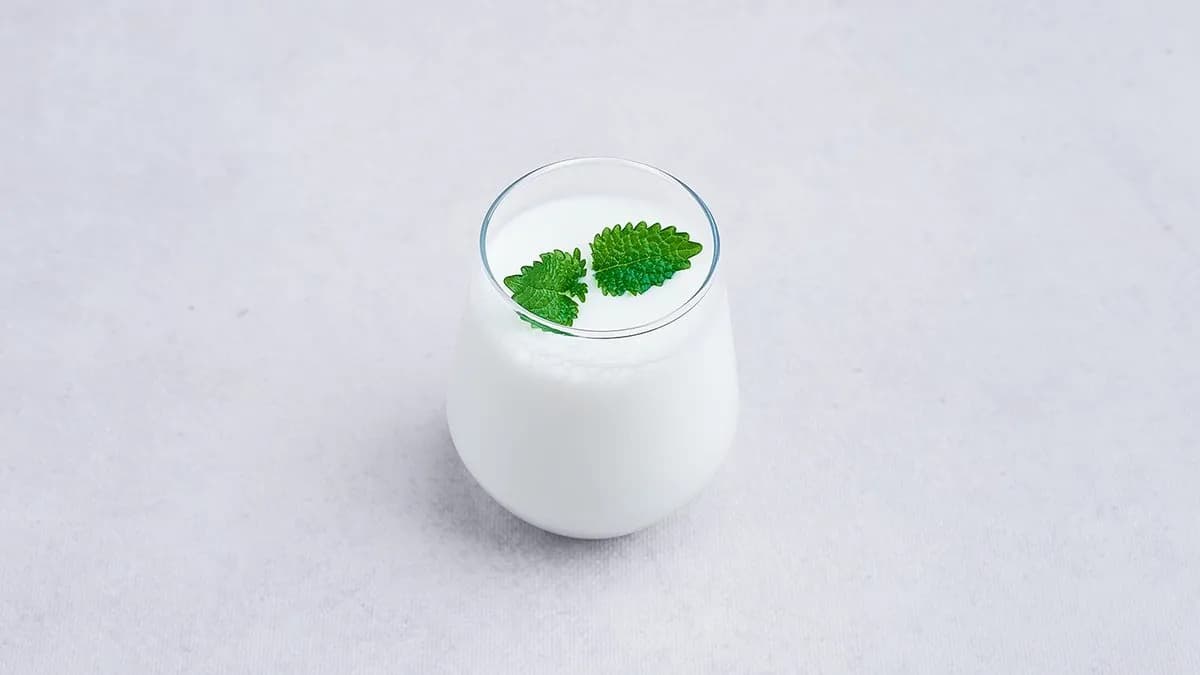 Ayran