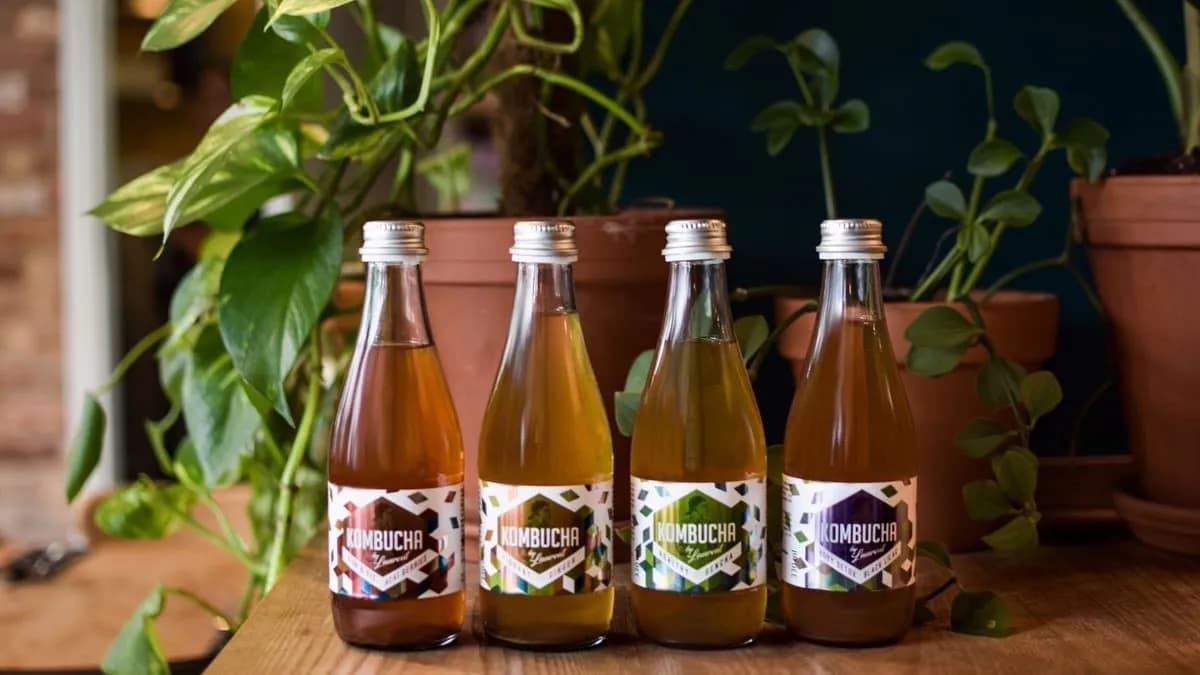 Kombucha by Laurent oak& white grapes