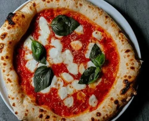 Маргарита большая