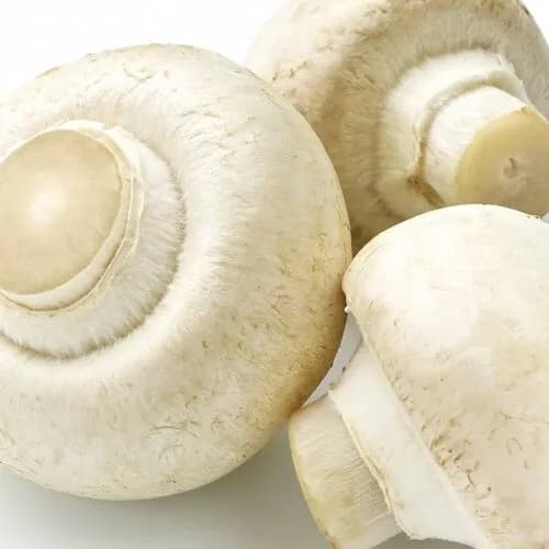 Шампиньоны