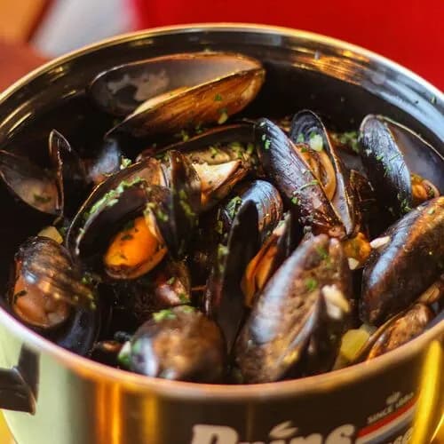 Мидии в створках в белом вине