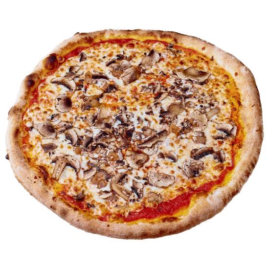 Funghi