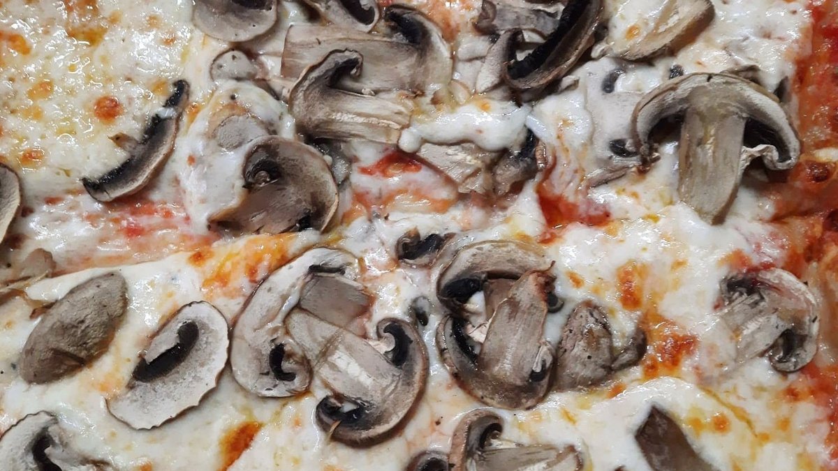 Funghi